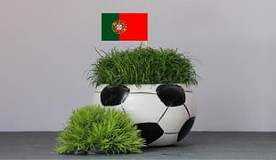 Portugal flag